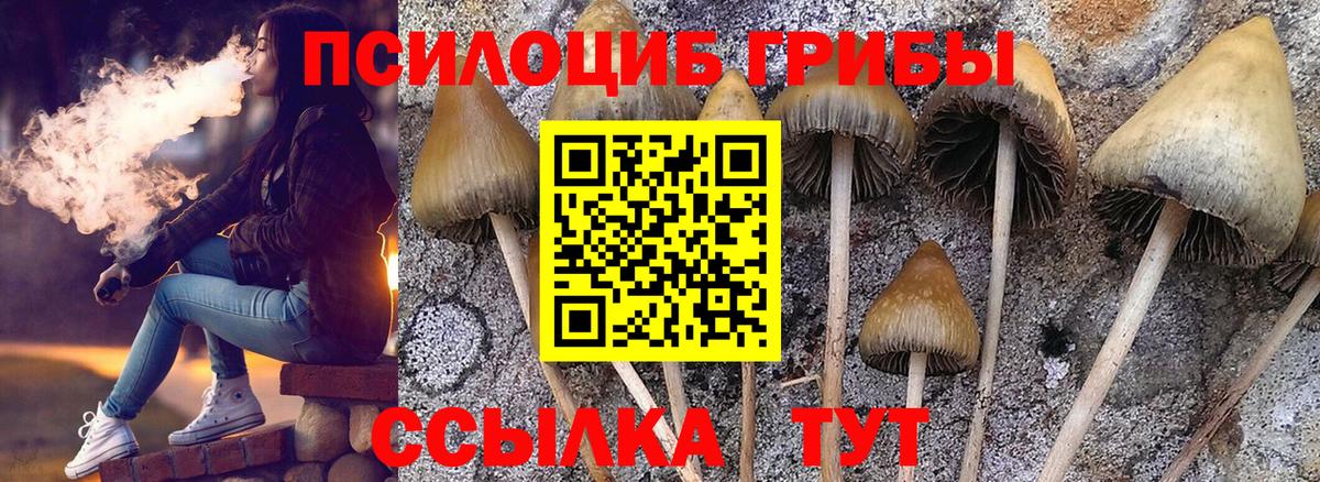 Галлюциногенные грибы мухоморы Ишимбай